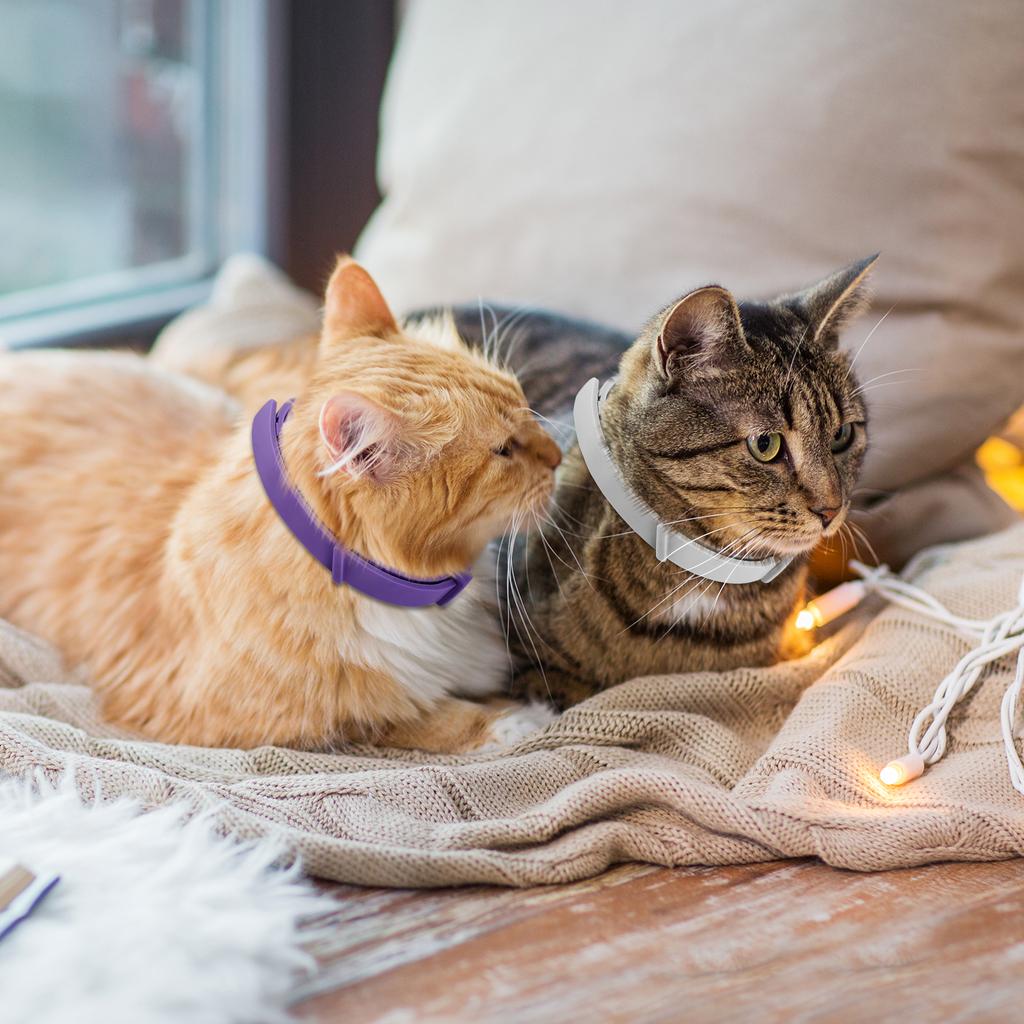 4 Stück Katzen Beruhigungshalsband Beruhigendes Pheromon-Halsband Verstellbar Komfort Katze Ruhig Halsband Gegen Angst Hilft bei Aggression für Katzen