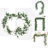 Indoor Green Wall Decor With Faux Plant Money Leaf Vines For Home And Photography