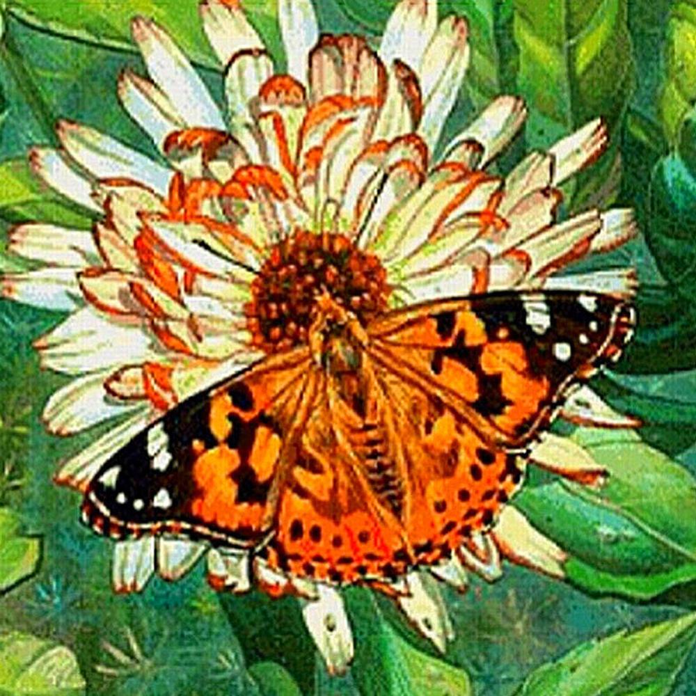 Diy 5D Diamond Painting Butterfly Flower Diamond Embroidery Cross Stitch Kit Mosaic Picture Home Decoration New Year Gift