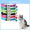 Durable Nylon Cat Collar With Bell Reflective Free Custom Engraving Various Sizes Anti-lost Pet Collar