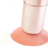 5 In 1 Portable Makeup Brushes For Foundation Eyebrow Lip Eyeshadow Loose Powder Cosmetic Brush Set Makeup Tools