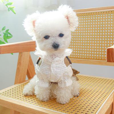 Roupa e sapatos – Casacos para cães