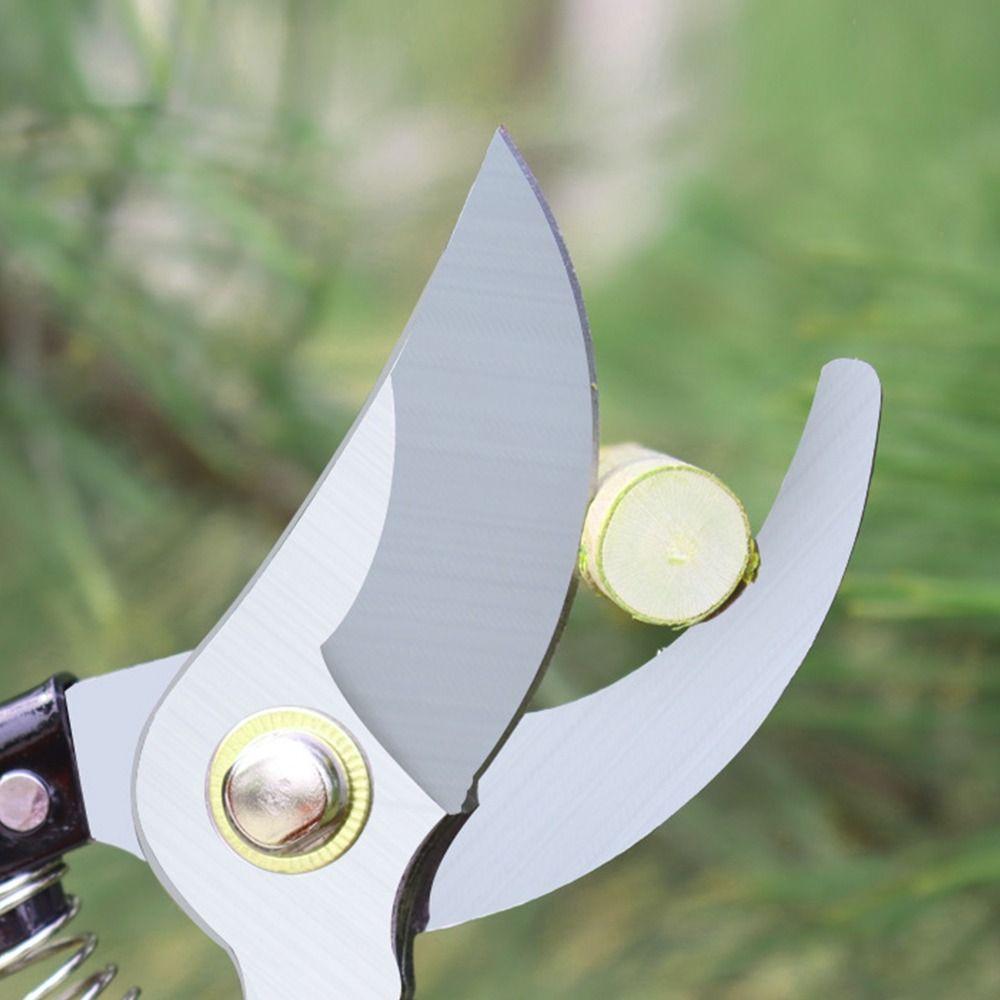 Comfortable Grip Garden Scissors Labor Saving Garden Pruners Pruning Shears  Agriculture
