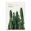 Escandinavo Verde Planta Folha Cacto Tela Cartaz Citações Impressão Pintura Imagem Decorativa Sala de Estar Moderna Decoração Nórdica