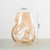 Nordic Style Irregular Glass Vase for Desktop Hydroponics