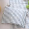 Classic Pouch_Pure Blue Stripe