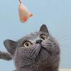 Hot 12PCS Interactive Plush Rat And Cat Toys With Durable Linen Perfect For Pet Safe For Indoor Play Pet Toys