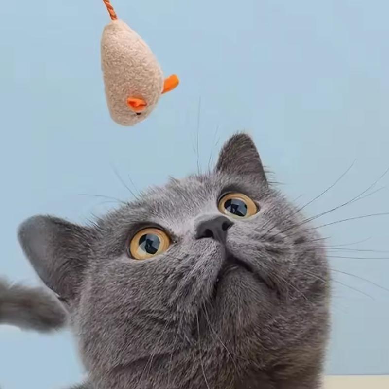 Hot 12PCS Interactive Plush Rat And Cat Toys With Durable Linen Perfect For Pet Safe For Indoor Play Pet Toys