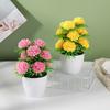 Flower Faux Plastic Pot With Twelve Ball Chrysanthemum For Indoor Decoration