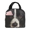 Border Collie Insulated Lunch Bag for Women Office Cooler Thermal Food Box Tote Leakproof Lunch Boxes Container