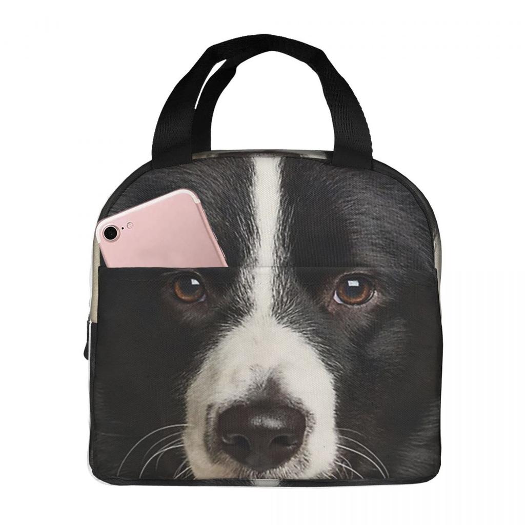 Border Collie Insulated Lunch Bag for Women Office Cooler Thermal Food Box Tote Leakproof Lunch Boxes Container