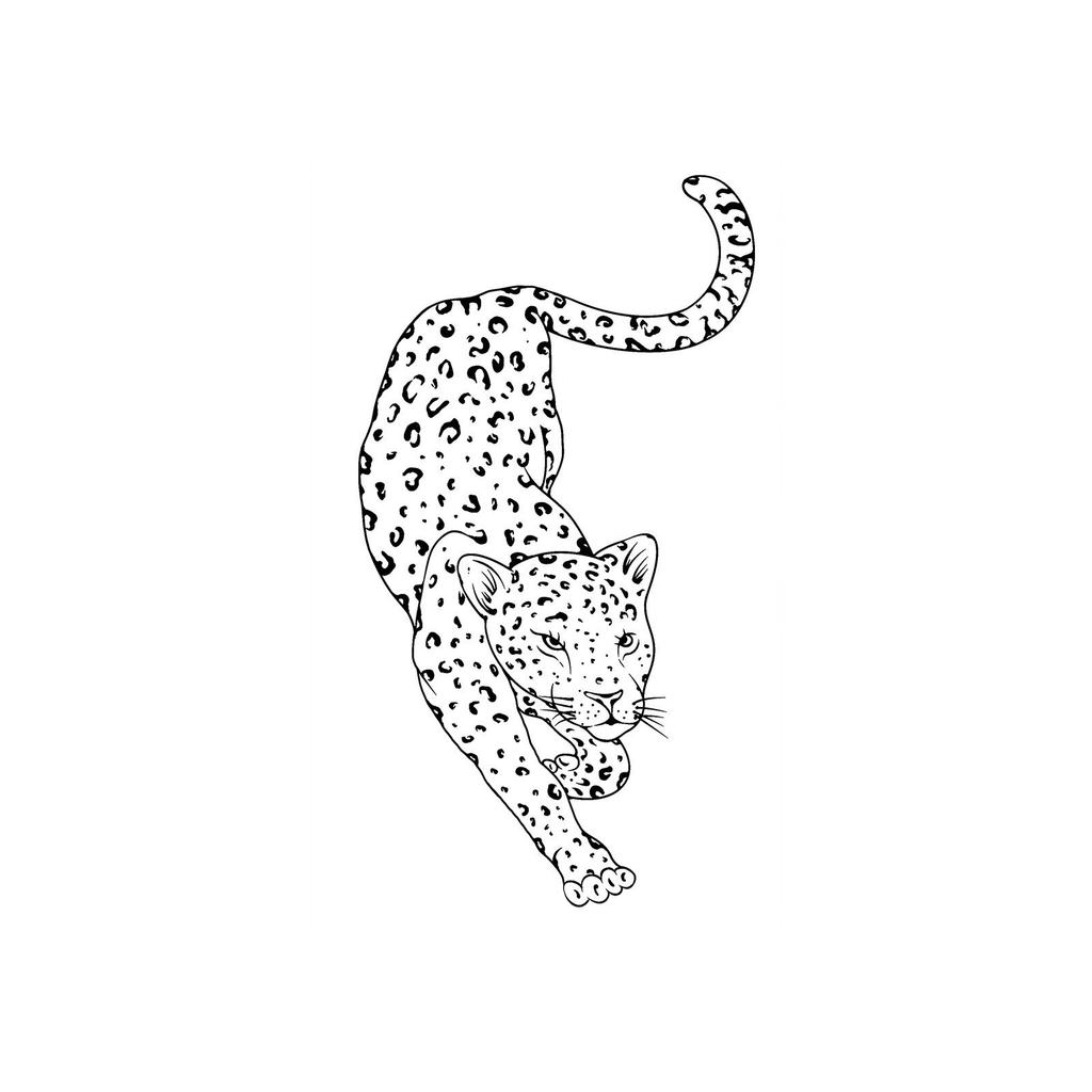 Minimalist Lines Leopard Tattoo Sticker Cold Lazy Waterproof Lasting Waist, Abdomen, Side Waist Exquisite Animal Pattern