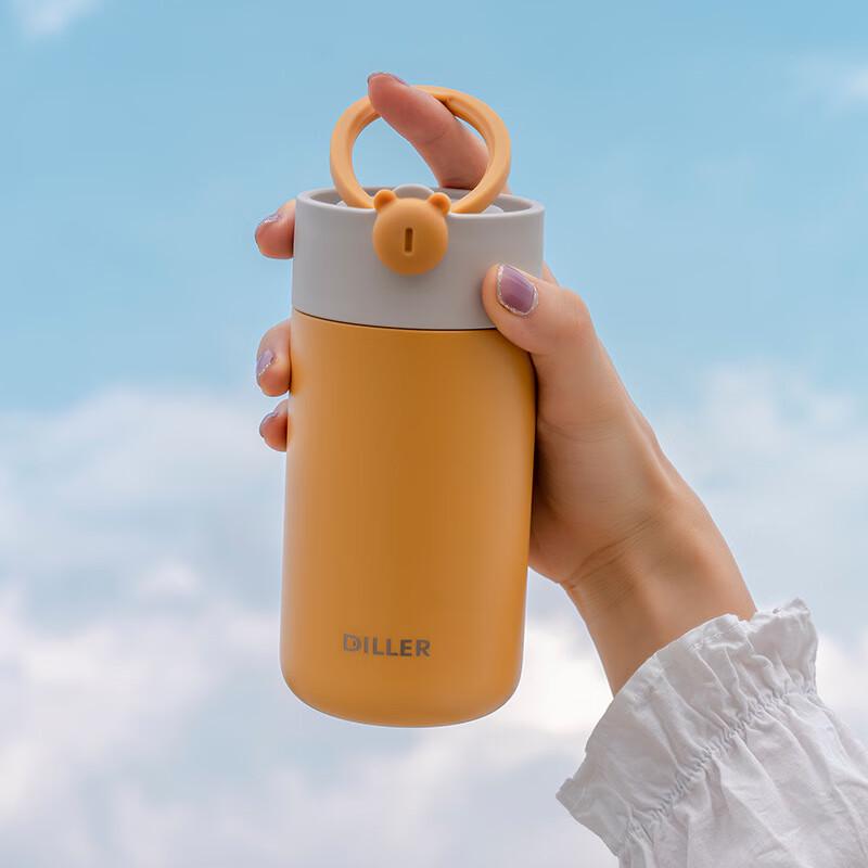 Diller 316 Edelstahl Isolierte Tragbare Flasche