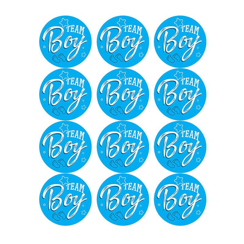 60/120pcs Team Boy Team Girl Stickers Boy or Girl Sticker for Gender Reveal Party Decoration Baby Shower Supplies Gift Box Label