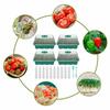 4Pcs Mini Greenhouse 12-Compartments Indoor Greenhouse Propagation Greenhouse Nursery Box Air Vent