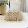 Autumn New Turkey Plush Bag 2025 Fashionable Solid Color Plush Bag High Value Shoulder Bag Oblique Chain
