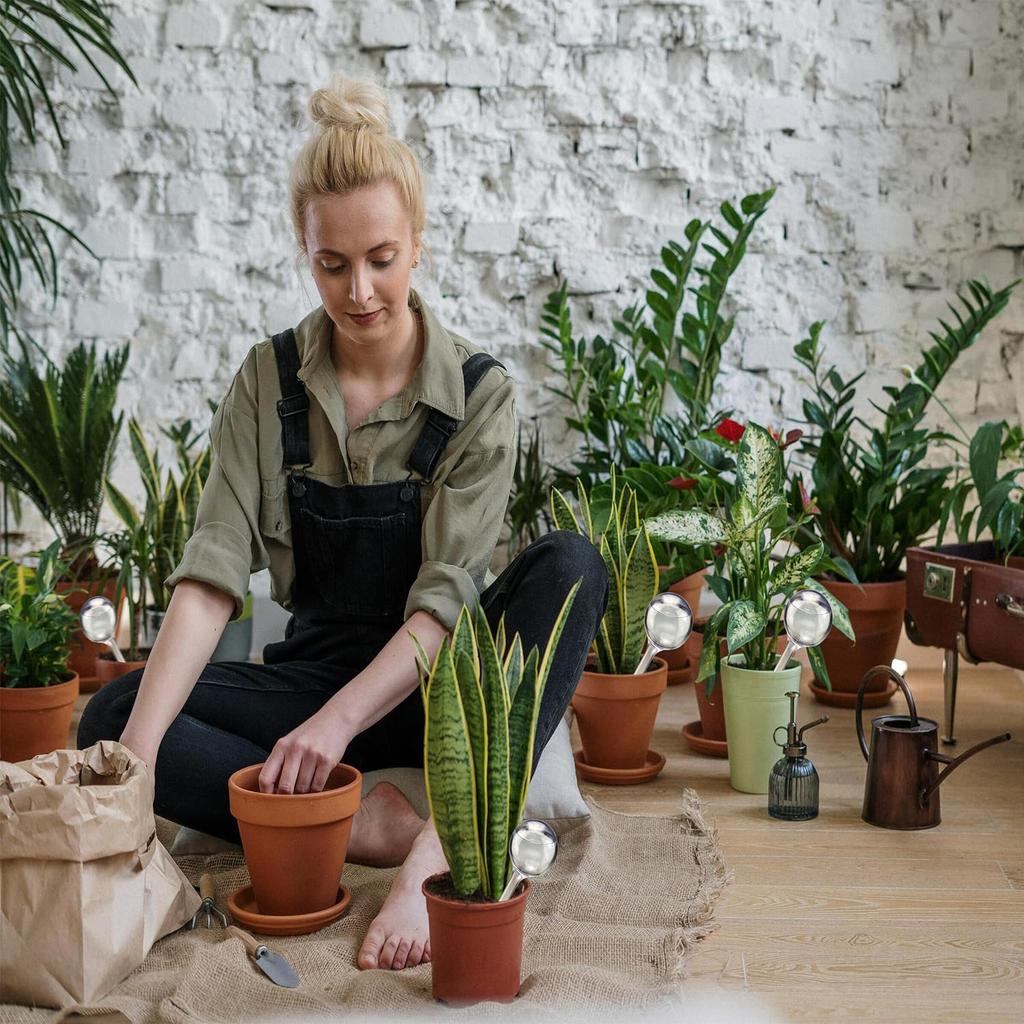 12Pcs Large Plant Watering Bulbs, Automatic Self-Watering Globes Plastic Balls Garden Water Device Watering Bulbs for Plant (Clear)