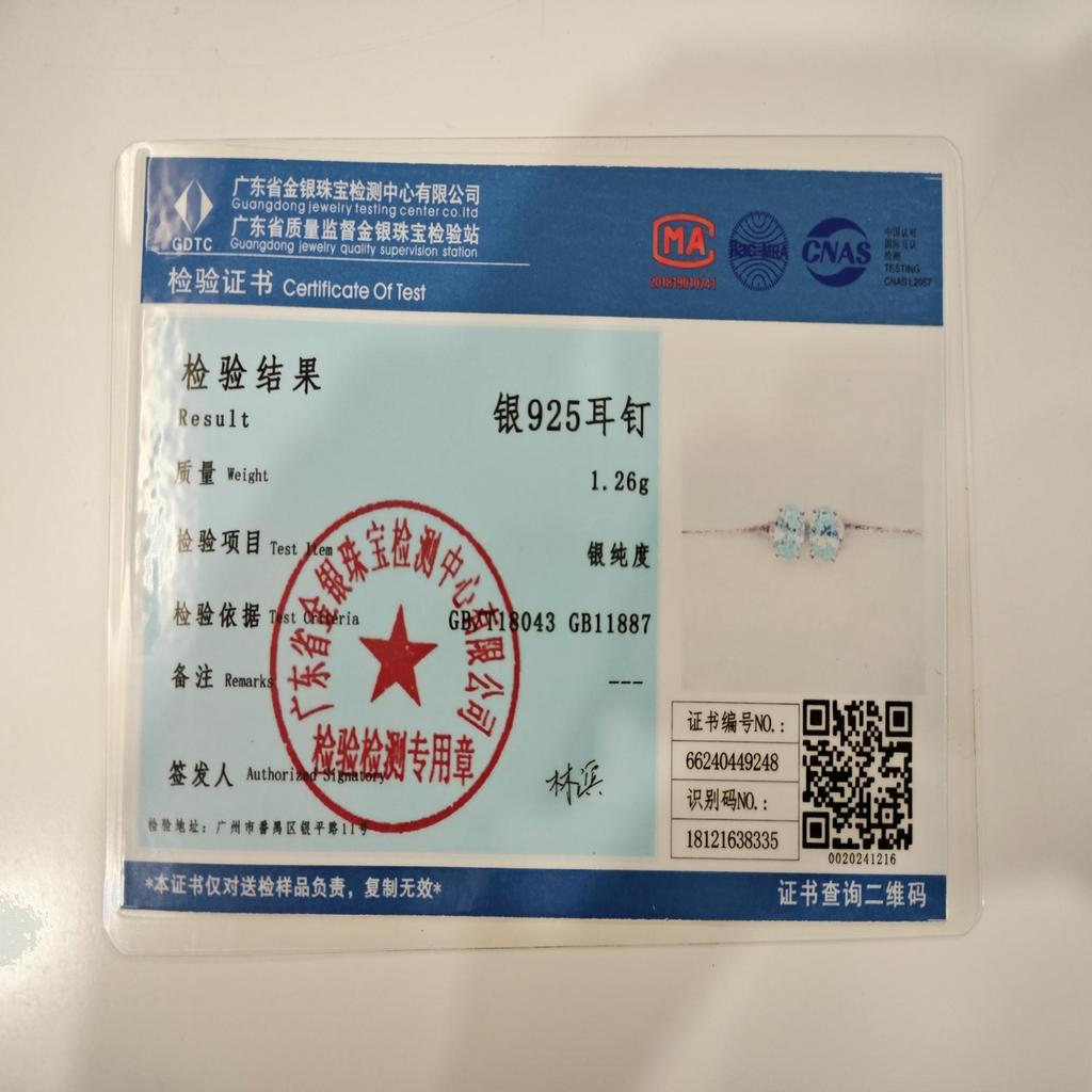 Sky Blue Zircon Earring 925 Sterling Silver Oval Stud Earrings