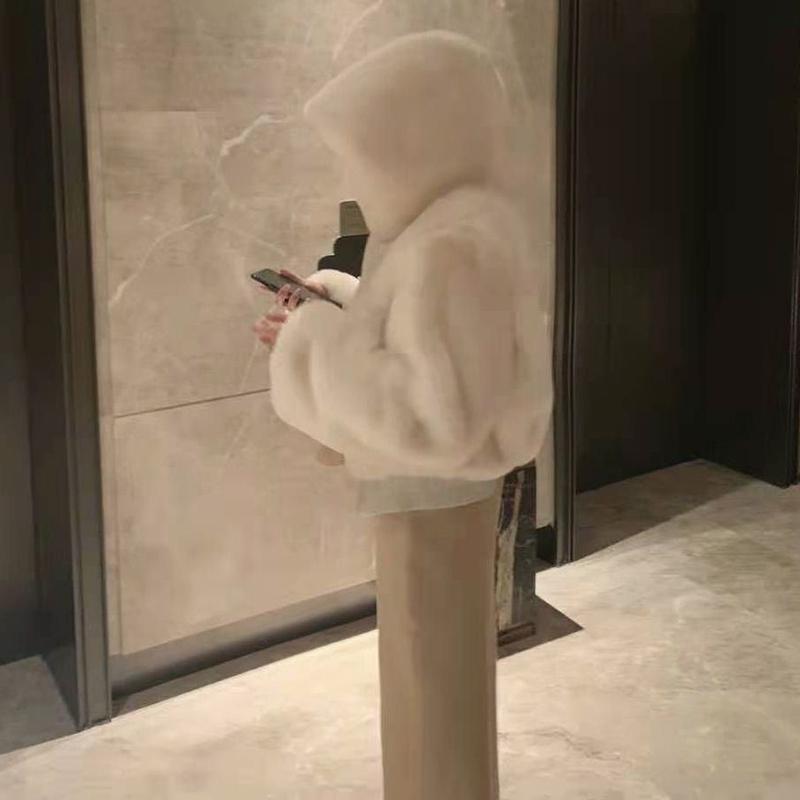 Herbst Faux Pelz Crop Mantel Damen Y2K Mode Streetwear Flauschige Kapuzen-Pelzjacke Dame Koreanisch Elegant Dick Faux Kaninchenfell Parkas