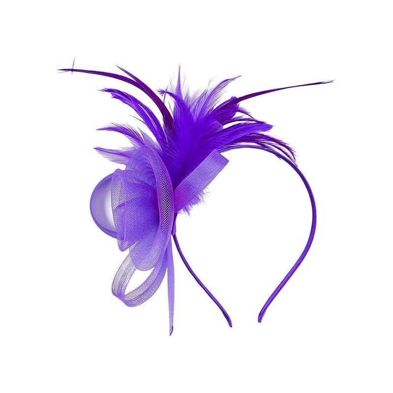 1 Pièce Bandeau Coiffe Plume Ornements de Cheveux Bandeau Élégant pour Femmes Vintage Dames Maille