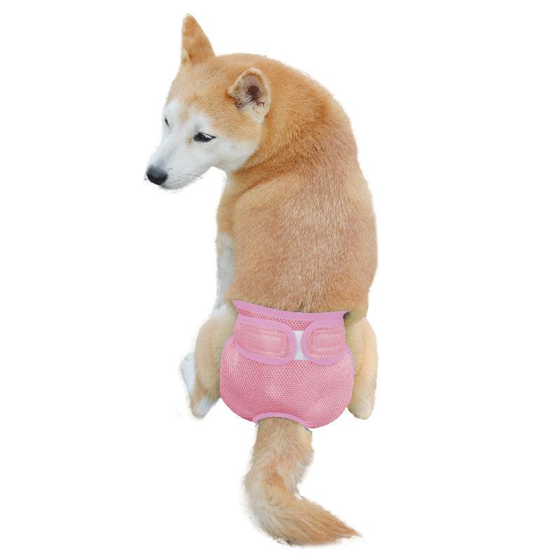 Breathable mesh hole pet physiological pants, Velcro female dog panties, adjustable waistline dog polite belt hot sale
