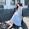 Blue Embroidered Striped Sleeveless Lace Skirt Set Women's Summer New Unique Beautiful Popular Two-piece Set