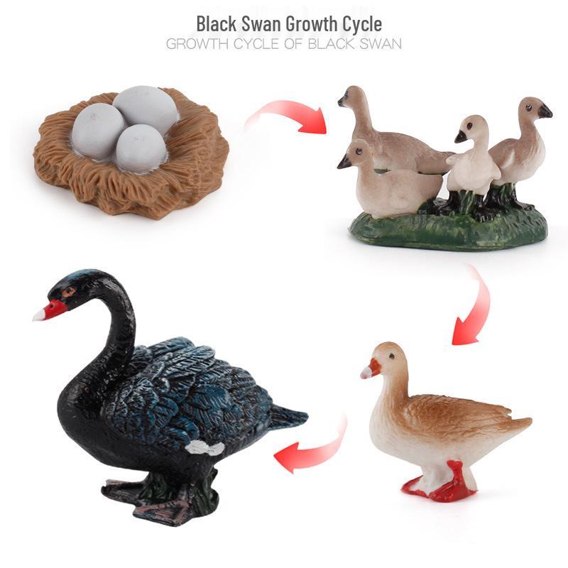 Cross-Border Farm Animal Miniature Model Set: Chickens, Ducks, Geese, Cows, and More