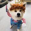 Halloween Kleine und mittelgroße Hunde- und Katzen-Verwandlungskostüme Haustierkleidung Katze- und Hundekleidung Zubehör