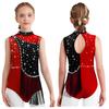 Girls Color Block Gymnastics Leotard with Mock Neck & Keyhole Back, Shiny Rhinestones & Tassels for Dance & Figure Skating