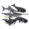 Realistic Marine Animal Models With Static Display For Aquarium Decoration And Educational Purposes