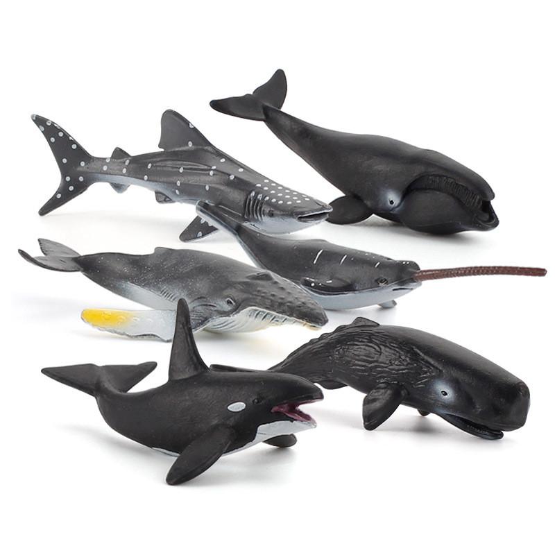Realistic Marine Animal Models With Static Display For Aquarium Decoration And Educational Purposes