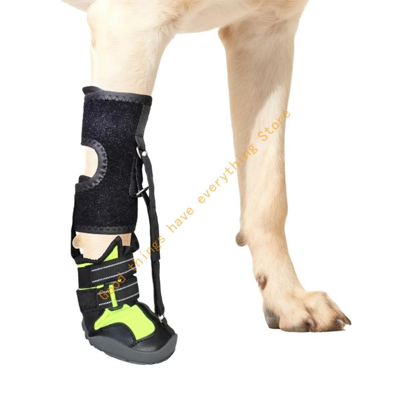 

Corrective Dog Shoes to Safely Lift Toe Drop Foot Brace with Reel for Dog 55KF M