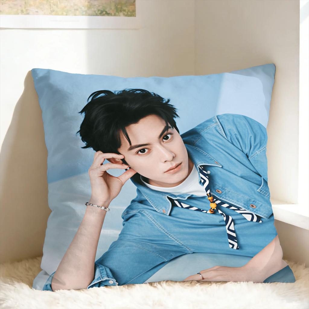 Wang Hedi Dylan Wang Actor Pillowcases Vintage Pillow Case For Sofa Home Decoration Design Pillow Cover