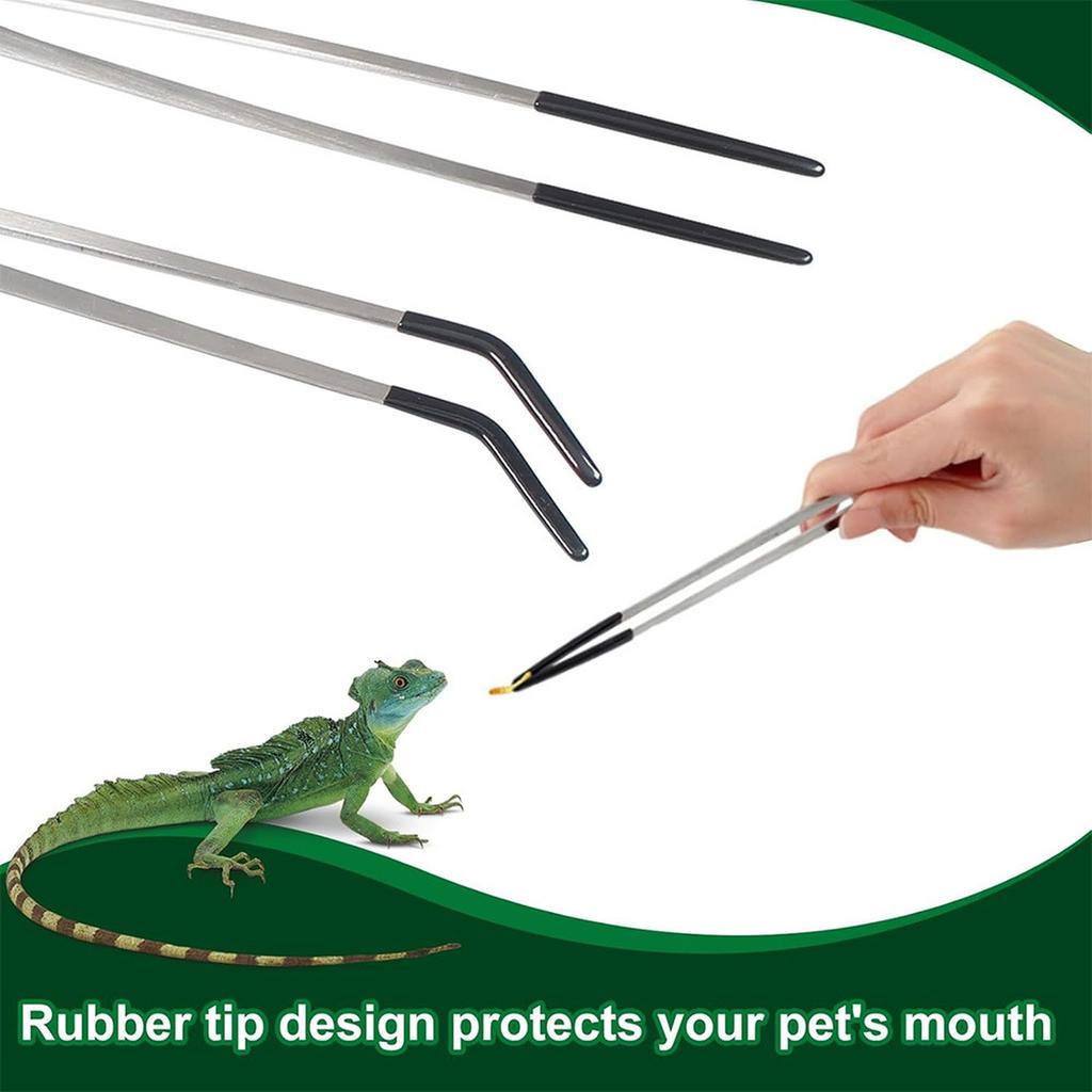 Edelstahl Aquarium Fütterpinzette 27CM Nicht- Reptilien Fütterzange -resistent Schillernd