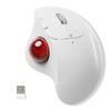 Periferice pentru calculatoare – Mouse-uri