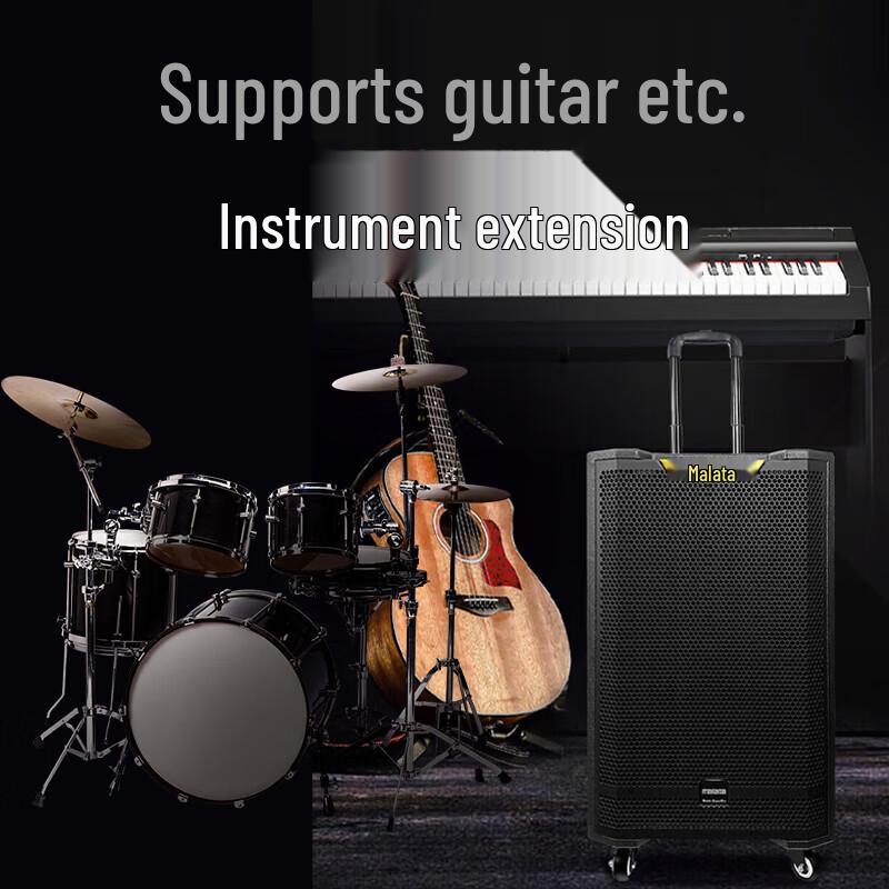 Malata Portable High-Power Karaoke Trolley Speaker