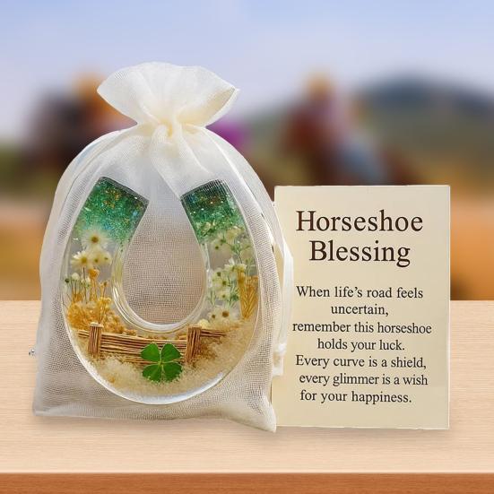 Horseshoe Blessing Pocket Hug with Positive Card Emotional Support Pocket Horseshoe Token Inspirational Lucky Horseshoe Decor Keepsake Gift