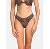 Miss Lou Bikini Bottom D-BR2-BR