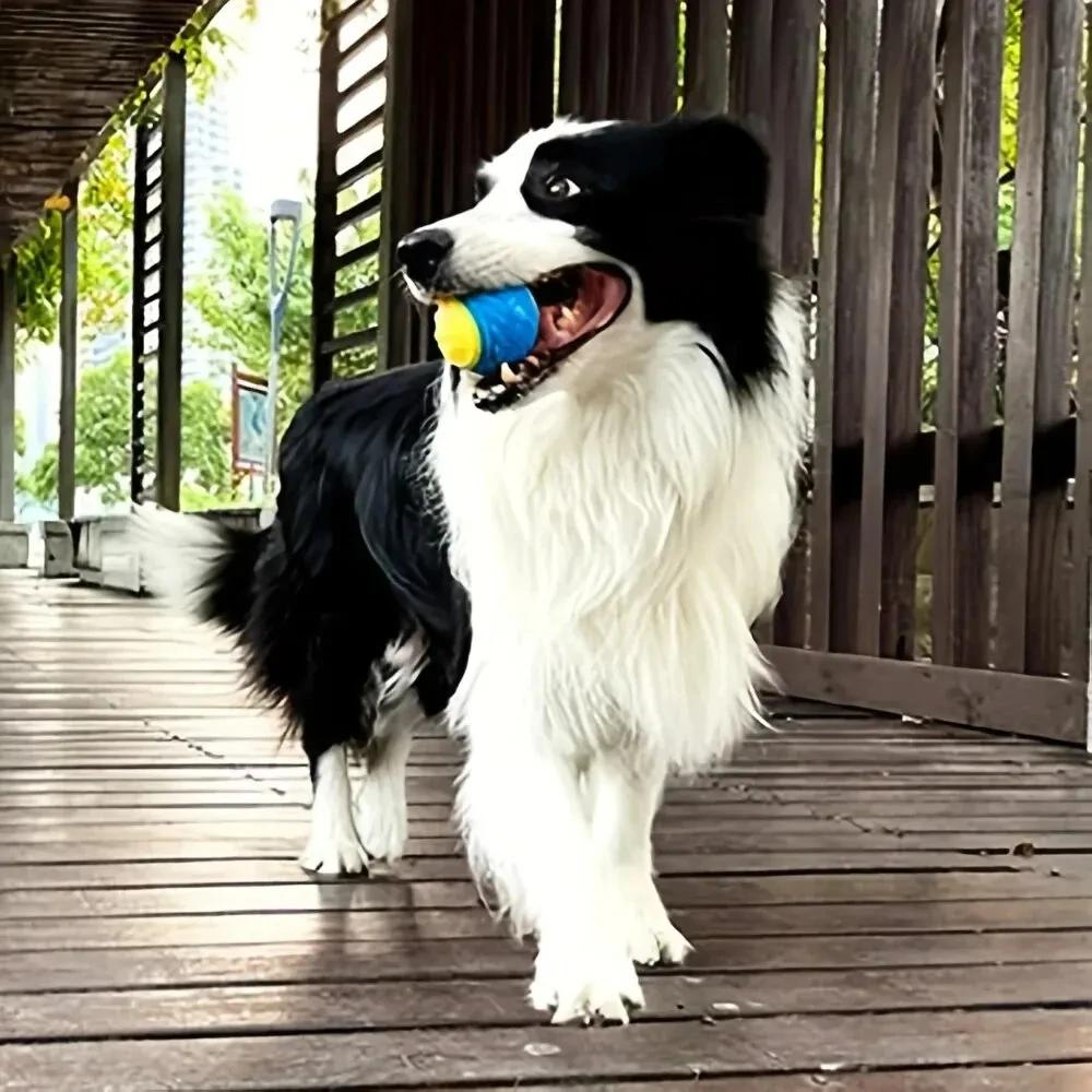 1/2pcs Dog Toy Durable Chew Ball Pet Grinding Teeth Toys Dog Squeaky Balls Pet Interactive Toy Chew Pet Supplies Dog Accessories