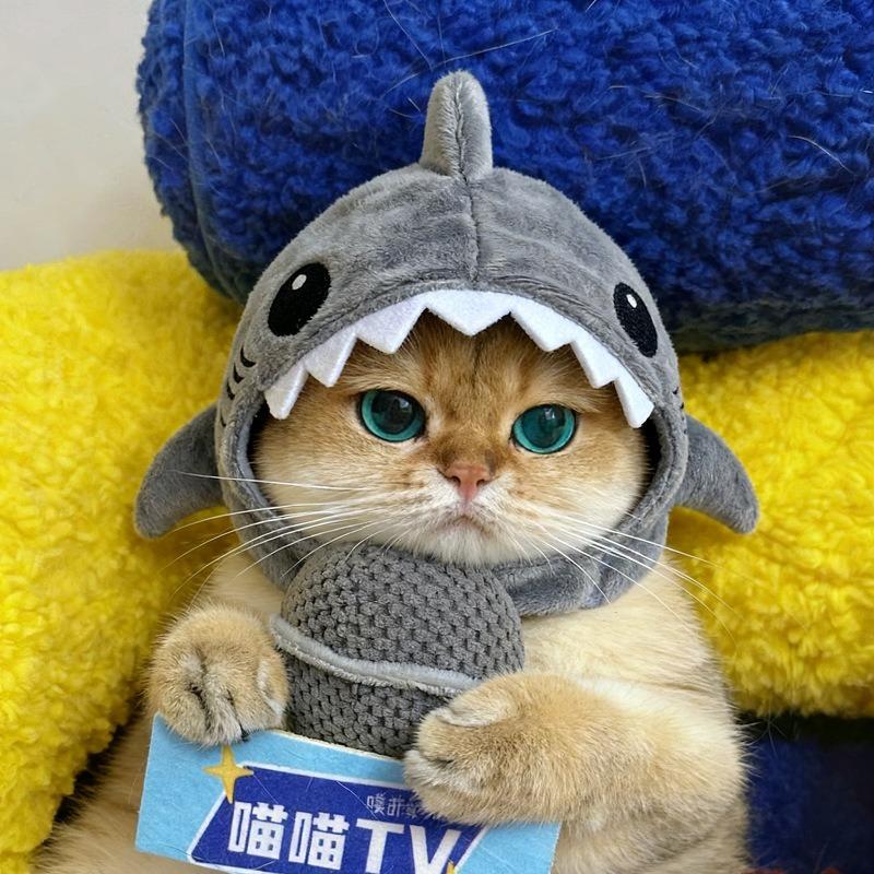 Vtipná nastavitelná pokrývka hlavy kočka žralok Teplá měkká kočičí dekorativní čepice Roztomilá kreslená kočka Teplá čepice Cosplay Party Kryt hlavy pro domácí mazlíčky