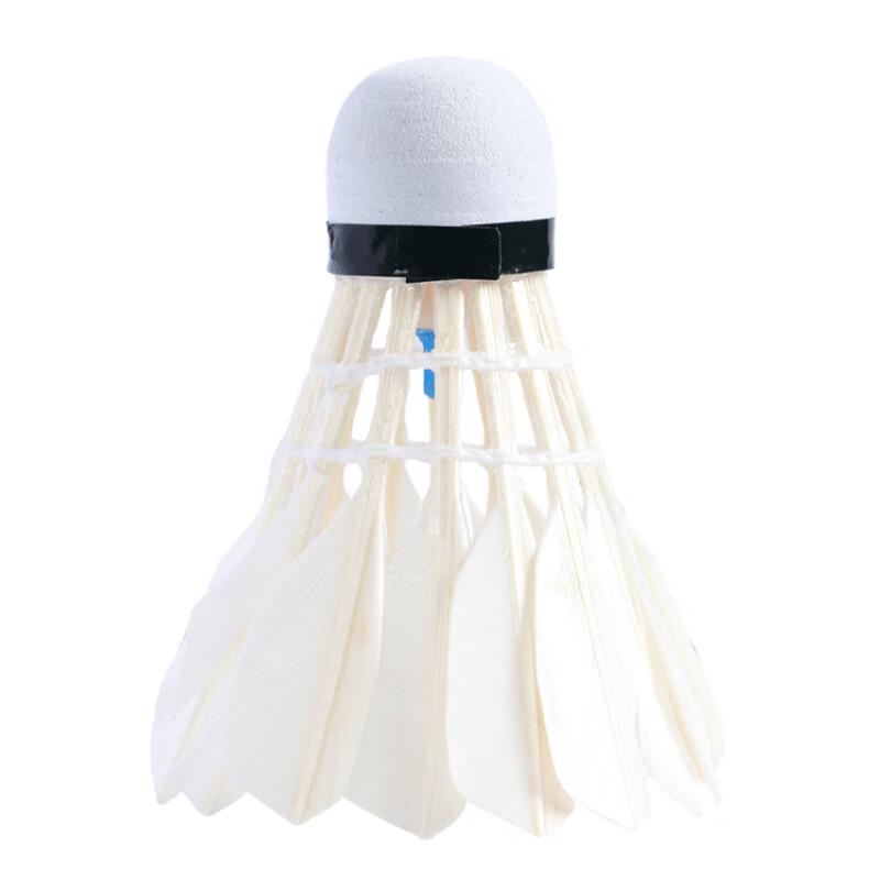 Ayoubu Luminous Wind-Resistant Badminton Shuttlecocks