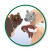 BRIO Forest Animal Set 33988 (26-Piece) Wooden Rail Toy for Ages 3 and Up