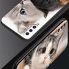 Kawaii Love Cat Phone Case For Samsung Galaxy A56 A36 A26 A34 A17 A16 A06 A14 A12 A54 A72 A70 A24 A22 A20e A52 A50 A40 A32 Cover