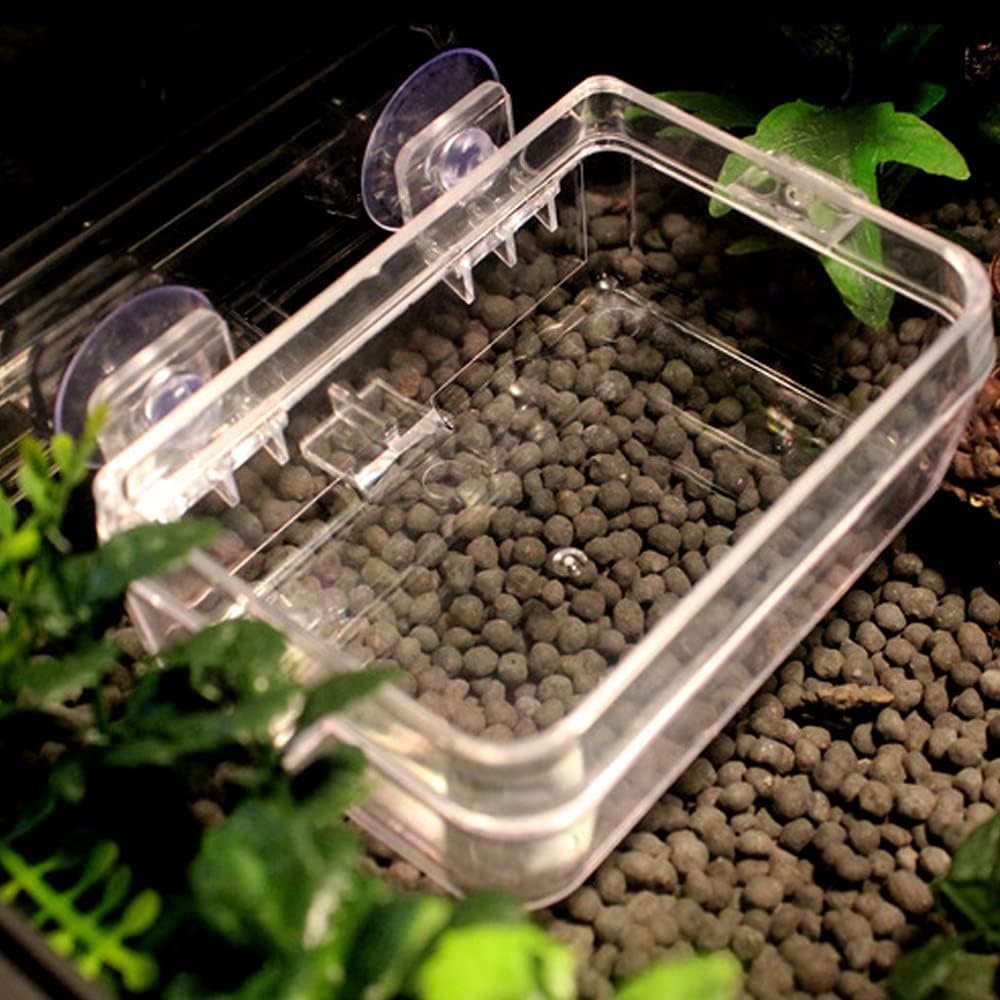 Reptile Feeder Chameleon Bowl 2 Pcs Anti-Escape Food Dish Bowl with Suction Cup for Chameleon Iguana Lizard Reptile Food and Water Feeding (White, S)