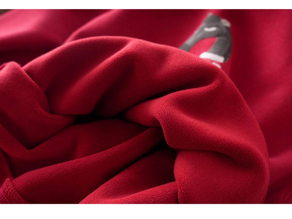 Boys' Red Fleece-Lined Winter Hoodie 2025 - Stylish Year of the Horse Top for Middle and Big Kids.