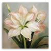 Canvas Print, Flower Lily