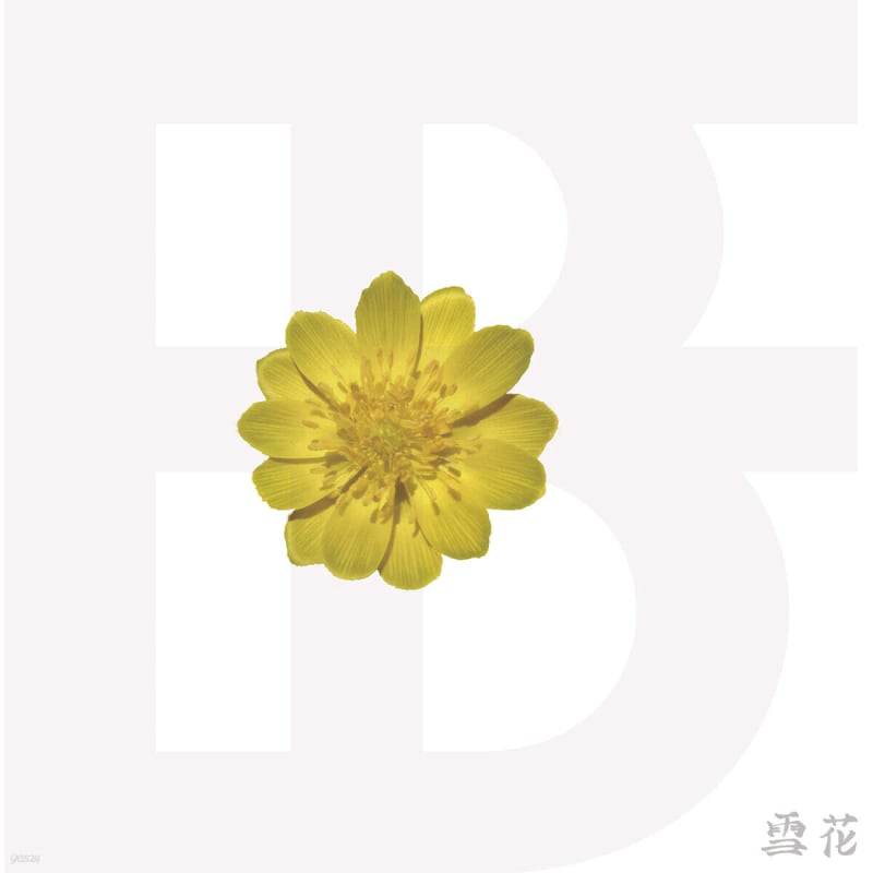 

BF - Mini Album: Snow Flower