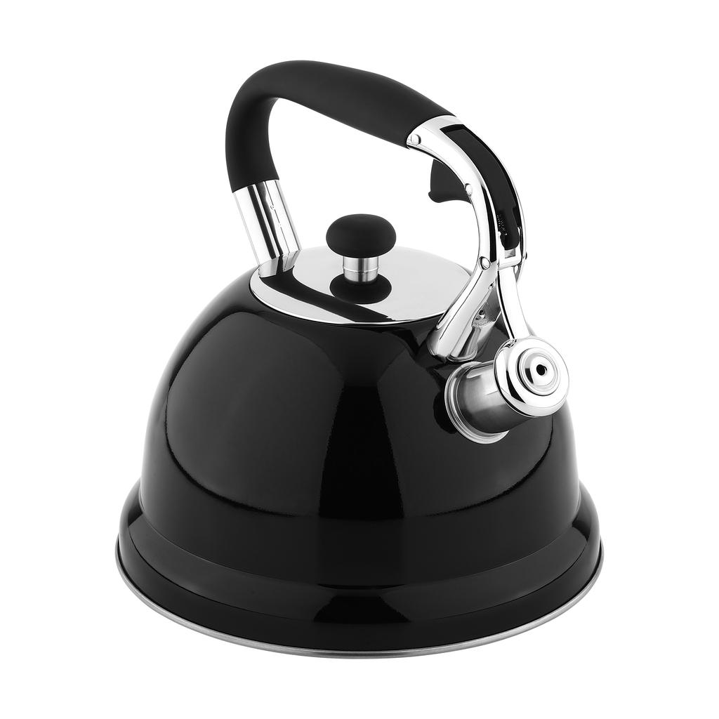 Teesa Stainless Steel Kettle with Whistling 3L Gas Induction
