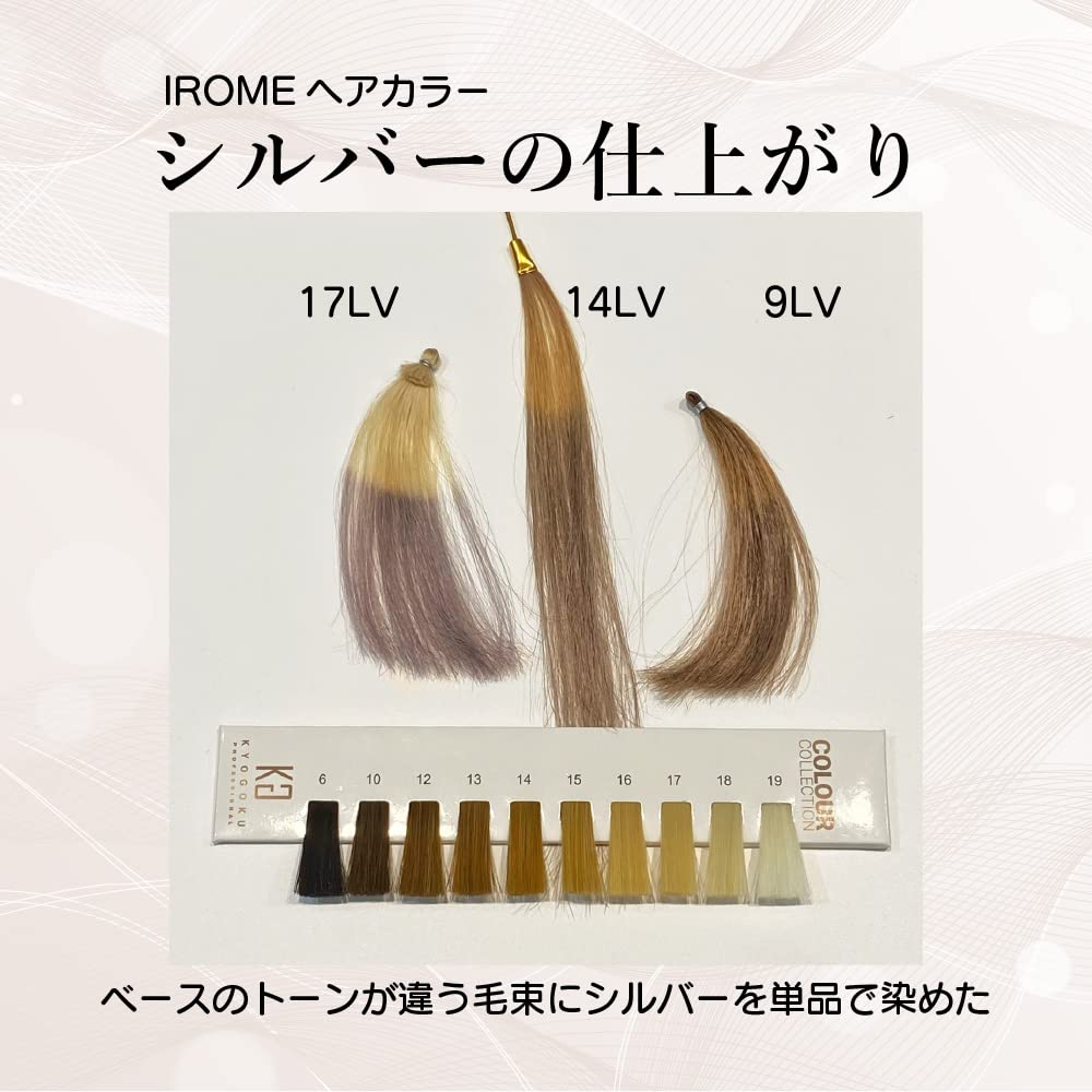 KYOGOKU IROME Hair 24 Gray Hair Salon Partial Dye 1-Pack Color, Colors, Dye, Quasi-drug, Hypoallergenic, Exclusive, Self-Color, (Silver)