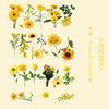 40 Pcs Kawaii Creative Flower Plant Stickers Hand Tent DIY Stick Labels Scrapbooking Material Junk Journal Supplies